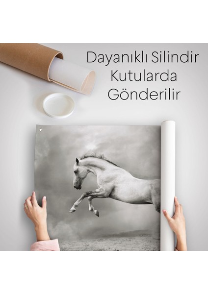 Çöldeki Beyaz At Duvar ÖRTÜSÜ-HALISI-6598