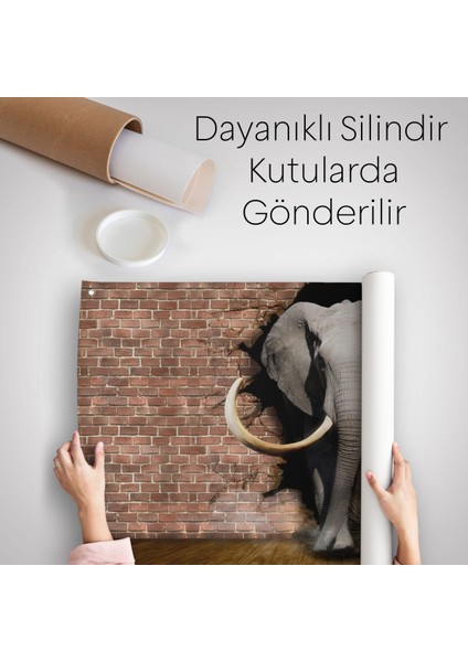 Duvardan Çıkan Fil Dekoratif Kanvas Duvar ÖRTÜSÜ-HALISI-3620