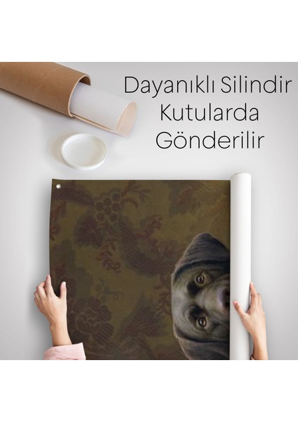 Pipo Için Köpek Duvar Örtüsü - HALISI-6032 indirimleri