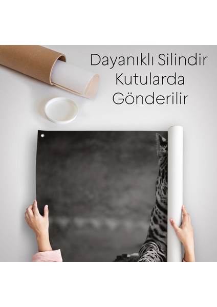 Mavi Gözlü Leopar Dekoratif Kanvas Duvar Örtüsü-Halısı 1162 indirimleri