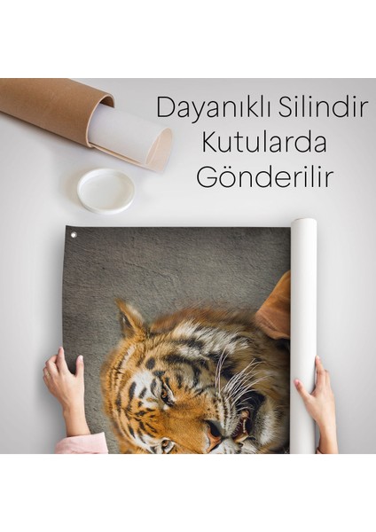 Kaplan Adam Dekoratif Duvar Örtüsü - HALISI-5938