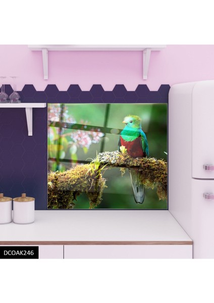 Cam Ocak Arkası Koruyucu Ankastre Arkası Koruyucu | Kuş modelleri