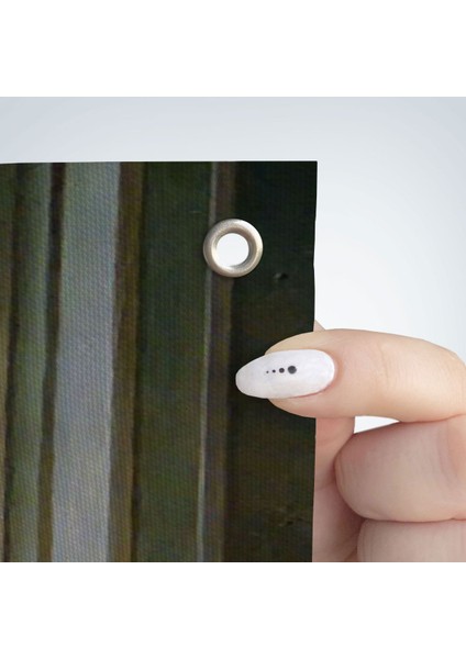 Bale Yapan Dansçı Kadın Duvar ÖRTÜSÜ-HALISI-6428 fırsatları