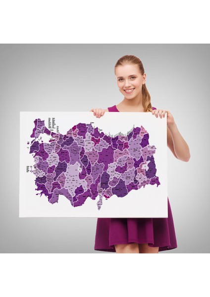 Türkiye Haritası Kanvas Tablo İl ve İlçeli Ayrıntılı Eğitici Dekoratif Tablo 3025 fırsatları