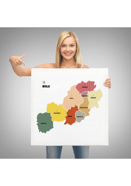 Bolu İli ve İlçeler Haritası Dekoratif Kanvas Tablo 1301 modelleri