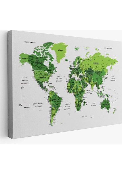 Türkçe Dünya Haritası Dekoratif Kanvas Tablo Son Derece Detaylı 1613