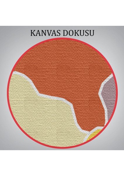 Uşak İli ve İlçeler Haritası Dekoratif Kanvas Tablo 1476