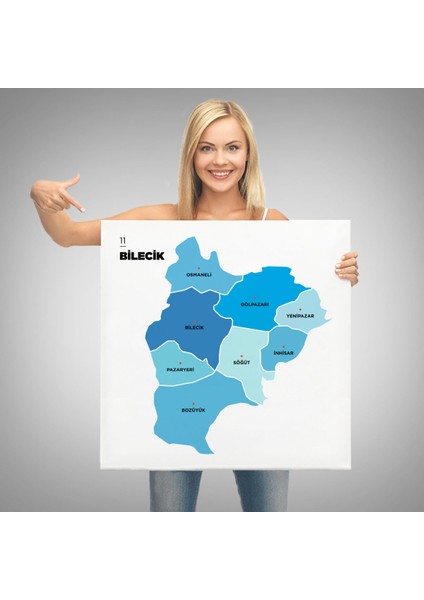 Bilecik İli ve İlçeler Haritası Dekoratif Kanvas Tablo 1293