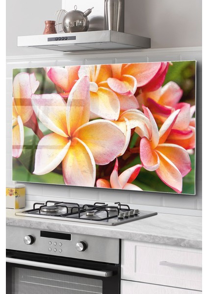 Ocak Arkası Cam Koruyucu Tezgah Ankastre Arkası Koruyucu | Çiçek Desenli