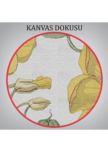 Nasturtium Çiçeği Kanvas Tablo-5206 indirimleri