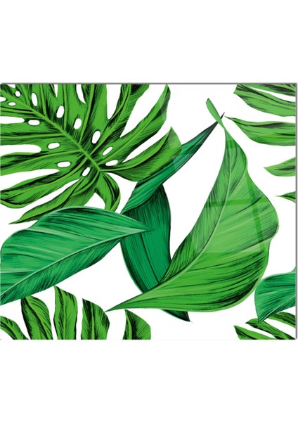 Cam Ocak Arkası Koruyucu Ankastre Arkası Koruyucu | Yeşil Yaprak fiyatları