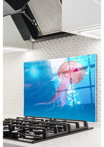 Cam Ocak Arkası Koruyucu Ankastre Arkası Koruyucu | Deniz Anası