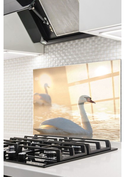 Cam Ocak Arkası Koruyucu Ankastre Arkası Koruyucu | Kuğu