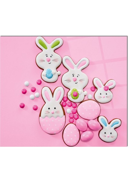 Cam Ocak Arkası Koruyucu Ankastre Arkası Koruyucu | Tavşan fiyatları