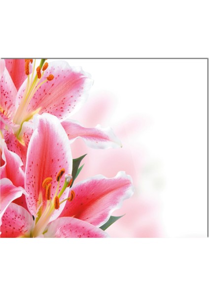 Cam Ocak Arkası Koruyucu Ankastre Arkası Koruyucu | Çiçek fiyatları