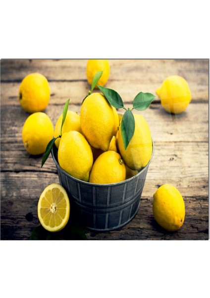 Cam Ocak Arkası Koruyucu Ankastre Arkası Koruyucu | Limon fiyatları