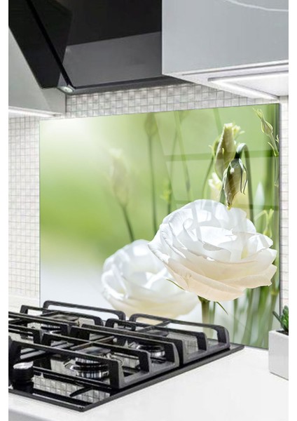 Cam Ocak Arkası Koruyucu Ankastre Arkası Koruyucu | Beyaz Çiçek