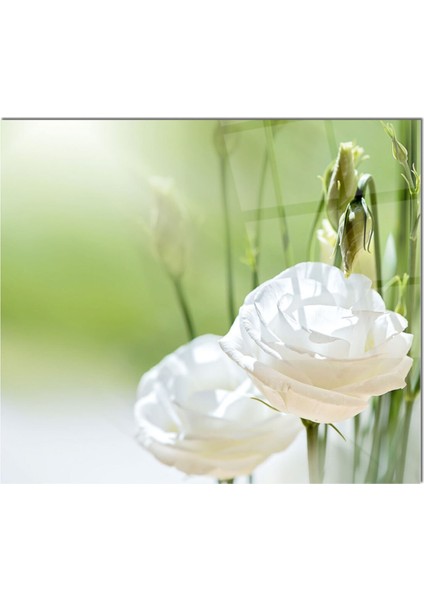 Cam Ocak Arkası Koruyucu Ankastre Arkası Koruyucu | Beyaz Çiçek fiyatları