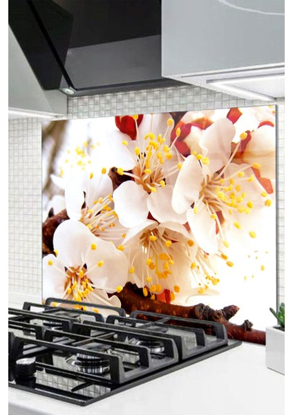 Cam Ocak Arkası Koruyucu Ankastre Arkası Koruyucu | Love