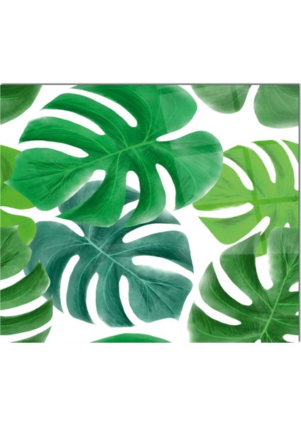 Cam Ocak Arkası Koruyucu Ankastre Arkası Koruyucu | Yaprak fiyatları