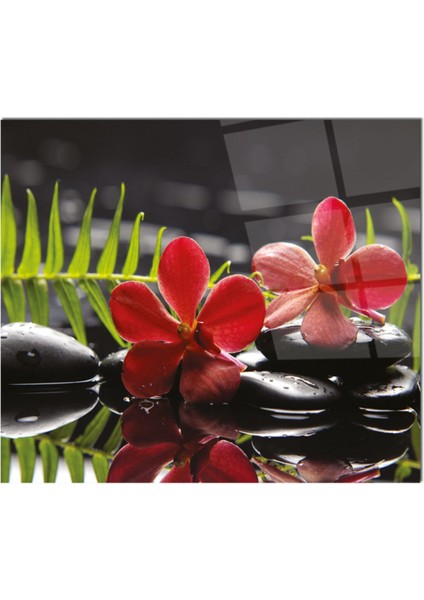 Cam Ocak Arkası Koruyucu Ankastre Arkası Koruyucu | Çiçek fiyatları