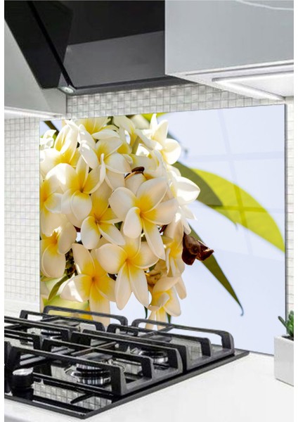 Cam Ocak Arkası Koruyucu Ankastre Arkası Koruyucu | Çiçek