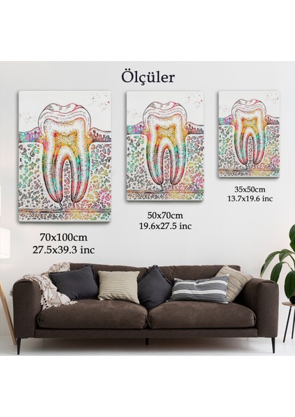 Diş Diyagramı Tablosu-6480