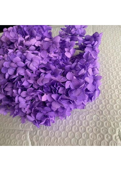 21 5g Gerçek Doğal Taze Korunmuş Ortanca Kafaları, Sonsuza Kadar Kurutulmuş Gül Ebedi Ortancalar, Güzellik Nail Art Çıkartmaları Takı, Ev Dekor (Yurt Dışından)