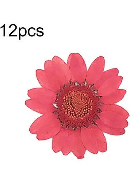 Kırmızı Epoksi Reçine 12 Adet Doğal Bitkiler Preslenmiş Pres Kurutulmuş Papatya Kuru Çiçekler Nail Art Telefon Süsü Yapımı El Sanatları Dıy Aksesuarları (Yurt Dışından)