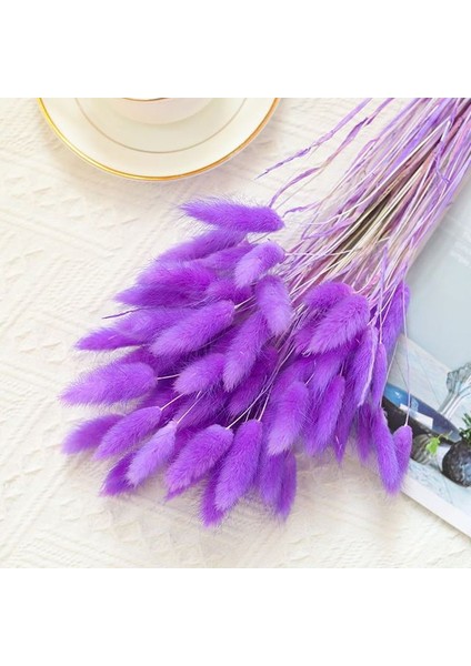 Mor 30 Adet Kurutulmuş Tavşan Kuyruğu Çim Lagurus Ovatus Ev Dekor Için Küçük Pampas Çim Boho Dekor Düğün Buketleri ve Çiçek Aranjmanı (Yurt Dışından)