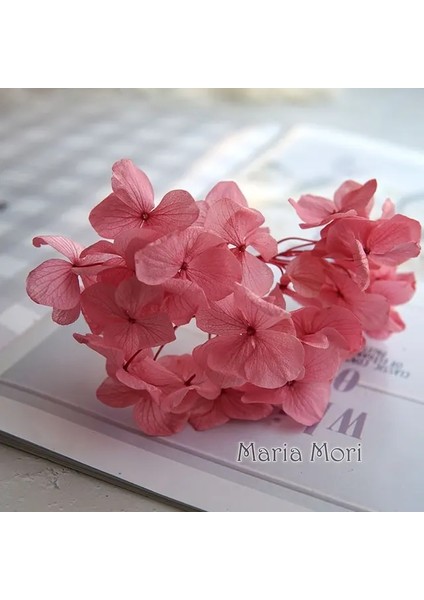 Renk M034 10G Büyük Yaprakları Macrophylla Korunmuş Ortanca Ofis Dekor Korunmuş Çiçekler Ev Dekorasyon Anna Ortanca Düğün Dekorasyon (Yurt Dışından)