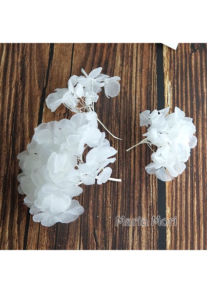 Renk M034 10G Büyük Yaprakları Macrophylla Korunmuş Ortanca Ofis Dekor Korunmuş Çiçekler Ev Dekorasyon Anna Ortanca Düğün Dekorasyon (Yurt Dışından)