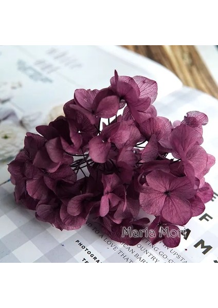 Renk M017 10G Büyük Yaprakları Macrophylla Korunmuş Ortanca Ofis Dekor Korunmuş Çiçekler Ev Dekorasyon Anna Ortanca Düğün Dekorasyon (Yurt Dışından)