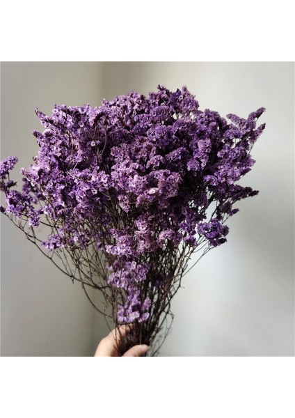 Stil 10 35 ~ 42 Cm/yaklaşık 35G Gerçek Doğal Kurutulmuş Korunmuş Kristal Çim Çiçek Buketi, Sonsuza Kadar Beni Unutma Çiçekler, Ev Dekor Için Sevgilisi Çim (Yurt Dışından)