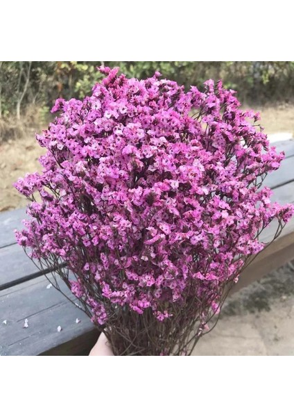 Stil 10 35 ~ 42 Cm/yaklaşık 35G Gerçek Doğal Kurutulmuş Korunmuş Kristal Çim Çiçek Buketi, Sonsuza Kadar Beni Unutma Çiçekler, Ev Dekor Için Sevgilisi Çim (Yurt Dışından) indirimleri