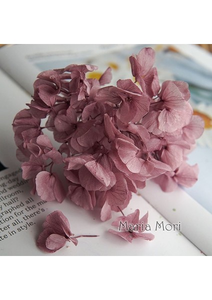 Renk M050 5g Büyük Yaprakları Macrophylla Korunmuş Ortanca Ofis Dekor Korunmuş Çiçekler Ev Dekorasyon Anna Ortanca Düğün Dekorasyon (Yurt Dışından)