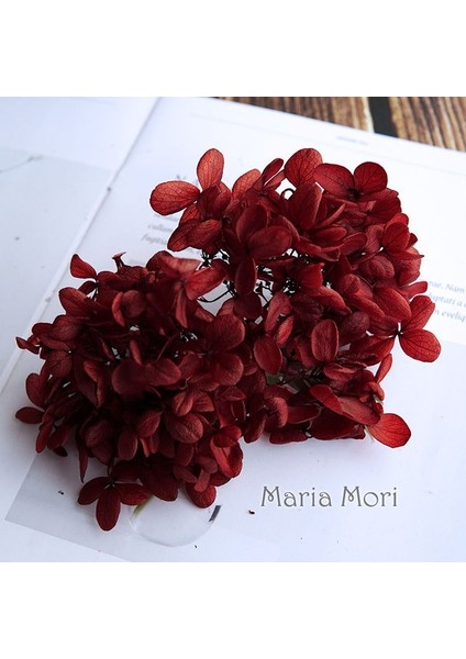 Renk H.P026 10G Korunmuş Ortanca Paniculata Çiçekler Elips Yapraklar Ofis Dekor Kristal Tutkal Dıy Çiçekler Kokulu Mumlar Malzeme (Yurt Dışından)