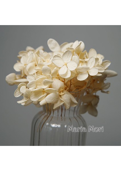 Renk H.P026 10G Korunmuş Ortanca Paniculata Çiçekler Elips Yapraklar Ofis Dekor Kristal Tutkal Dıy Çiçekler Kokulu Mumlar Malzeme (Yurt Dışından) modelleri