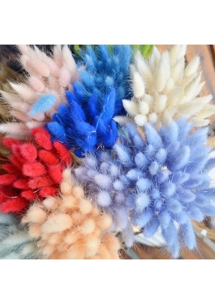 C 50 Adet Tavşan Kuyruğu Çim Kurutulmuş Çiçekler Yapay Bitki Buket Sahte Çiçek Ebedi Köpek Kuyruğu Çim Kurutulmuş Çiçek Ev Decortaion (Yurt Dışından)