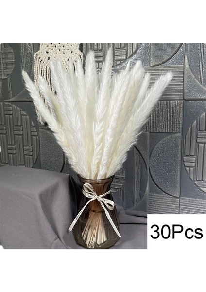 Bir Stil Resim Olarak Vazo Yok 30-100 Adet Kabarık Pampas Kurutulmuş Çiçekler Buket Ev Dekor Doğal Tavşan Kuyruğu Çim Yapay Çiçek Düğün Parti Dekorasyon (Yurt Dışından)