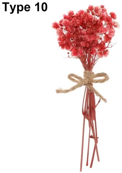 Tip 10 Mini Babysbreath Doğal Taze Kurutulmuş Korunmuş Çiçekler Küçük Doğal Kurutulmuş Çiçekler Buket Basın Dekoratif Fotoğraf Arka Fonu Dekor (Yurt Dışından)