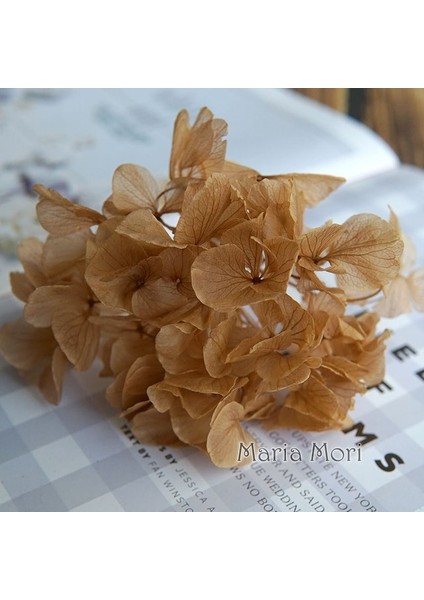 Renk M006 20G Büyük Yapraklı Macrophylla Korunmuş Ortanca Ofis Dekor Korunmuş Çiçekler Ev Dekorasyon Anna Ortanca Düğün Dekorasyon (Yurt Dışından)