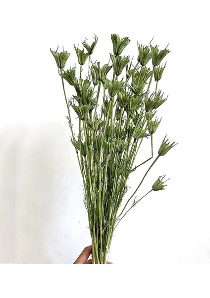 11 Yaklaşık 35 Çiçek Başları, Kurutulmuş Doğal Çiçekler Şubesi, Ev Dekorasyonu Için Dıy Kuru Eternelle Yıldız Anason Çiçek Buketi, Çiçek Aranjmanı (Yurt Dışından)