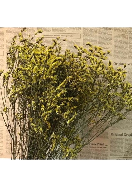 07 35 ~ 42 Cm/yaklaşık 35G Gerçek Doğal Kurutulmuş Korunmuş Kristal Çim Çiçek Buketi, Sonsuza Kadar Beni Unutma Çiçekler, Sevgilisi Çim Ev Dekor Için (Yurt Dışından)
