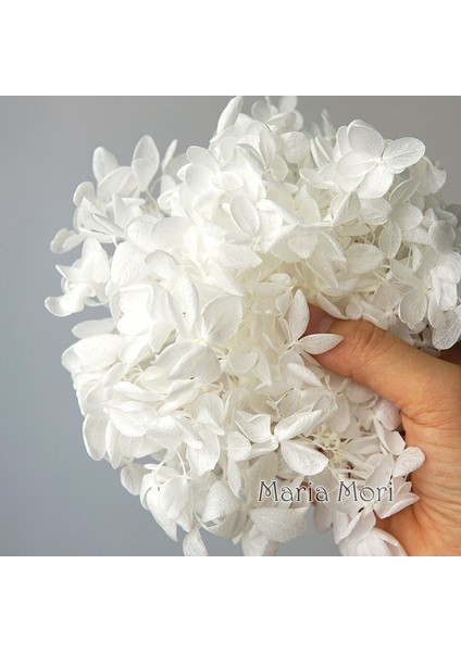 Renk H.P061 20G Korunmuş Ortanca Paniculata Çiçekler Elips Yapraklar Ofis Dekor Kristal Tutkal Dıy Çiçekler Kokulu Mumlar Malzeme (Yurt Dışından)