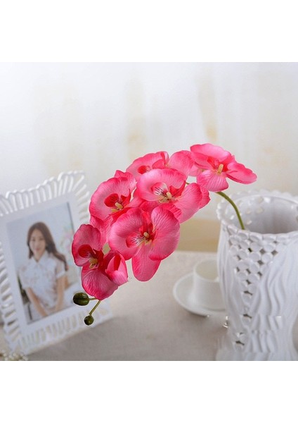 Fen Yapay Kelebek Orkide Çiçek Güve Orkide Sahte Çiçekler Ev Dekor Düğün Dekorasyon Aksesuarları Flores Artificiales (Yurt Dışından)