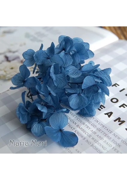 Renk M025 10G Büyük Yaprakları Macrophylla Korunmuş Ortanca Ofis Dekor Korunmuş Çiçekler Ev Dekorasyon Anna Ortanca Düğün Dekorasyon (Yurt Dışından)