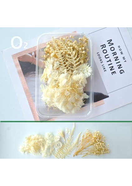 Paket N 1 Kutu Beyaz Kurutulmuş Çiçekler Dıy Aromaterapi Mum Yapımı Için Epoksi Reçine Kalıp Takı Aksesuarları Düğün Buket Ev Dekorasyon (Yurt Dışından) fırsatları