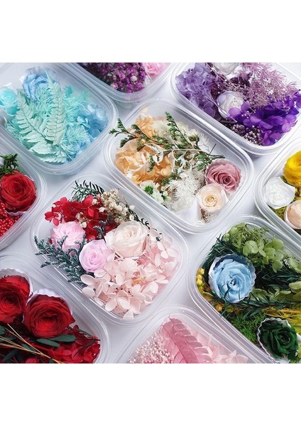 Paket N 1 Kutu Beyaz Kurutulmuş Çiçekler Dıy Aromaterapi Mum Yapımı Için Epoksi Reçine Kalıp Takı Aksesuarları Düğün Buket Ev Dekorasyon (Yurt Dışından) indirimleri