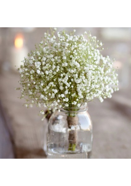 Beyaz 5 Adet 30 Kafaları 29 cm Bebekler Nefes Yapay Çiçekler Plastik Gypsophila Dıy Çiçek Buketleri Düğün Ev Dekorasyon Için Düzenleme (Yurt Dışından) fiyatları
